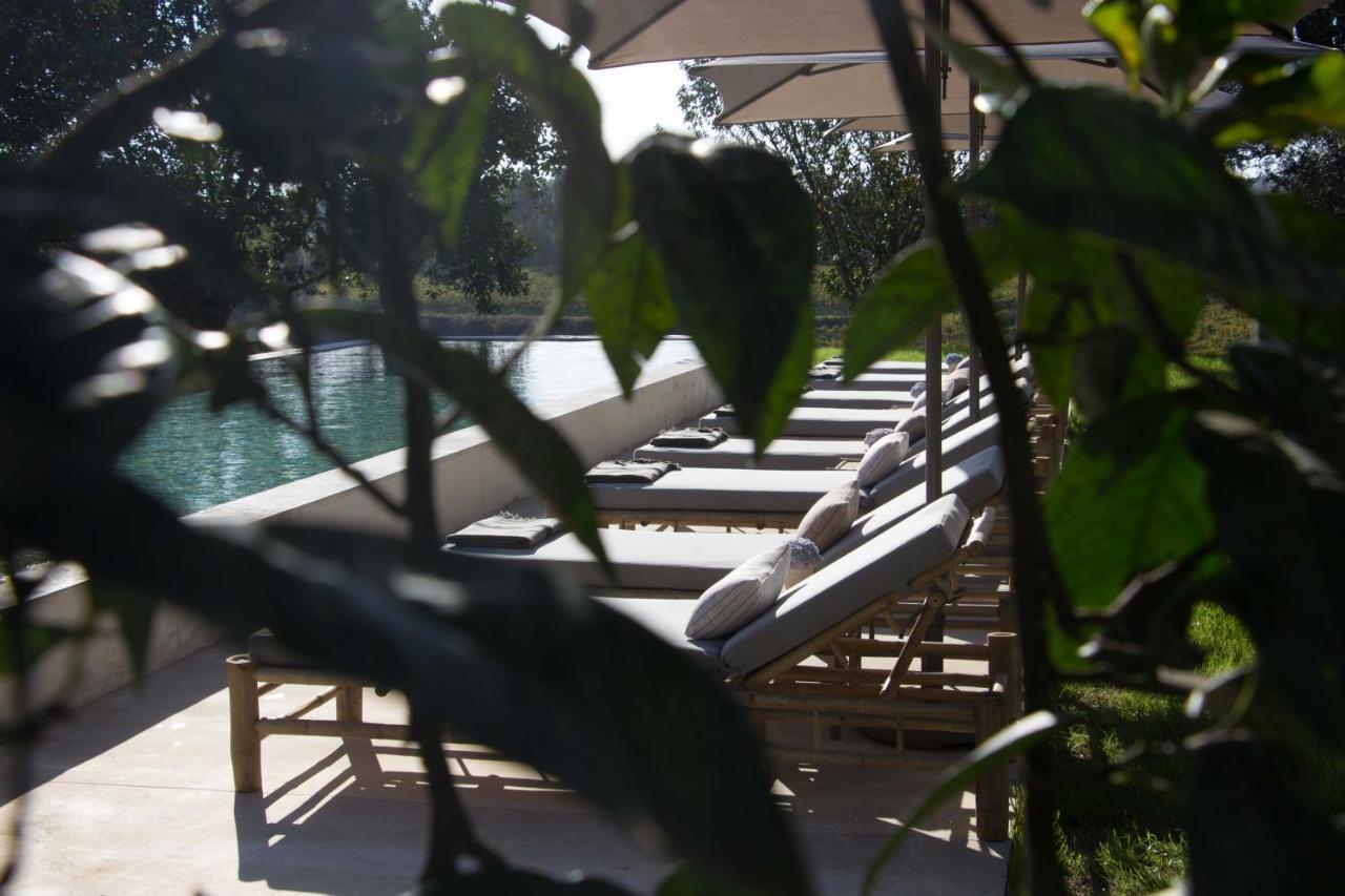 Terra Rosa Country House & Vineyards Ponte de Lima Exterior foto